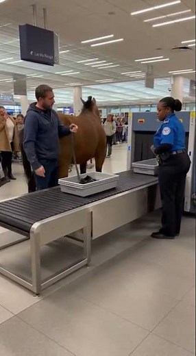 Funny airport Pranks 2025