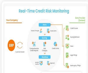 信用风险模型监控CREDIT RISK MODEL MONITORING