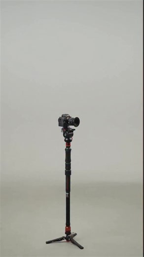 4.9K views · 4K reactions | Meet the Cobra 3 Strike. The one-click monopod made for creators who move fast! ✅ Adjust height instantly ✅ Travel-ready and lightweight ✅ Built tough for everyday shoots If you’re always on the go, this is the gear that keeps up with you. Work faster with the Cobra 3 Strike today: https://www.ifootagegear.com/products/cobra3strikemonopod? #iFootage #Cobra3Strike #Monopod | iFootage International | Facebook