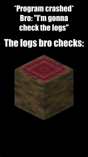 POV: Your Bro says he'd check the logs