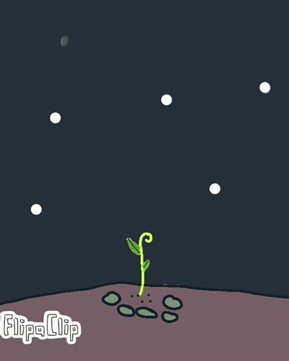 LIFE OF A PLANT🪴, (short animation) #animation #growth #plant #life