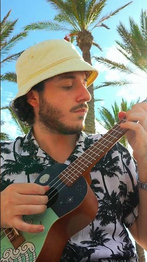 Wellerman (Ukulele cover) #wellerman #ukulele #ukulelecover #ukulelefacile