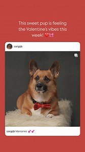 Rebecca Rose Fine Portraits LLC on Reels