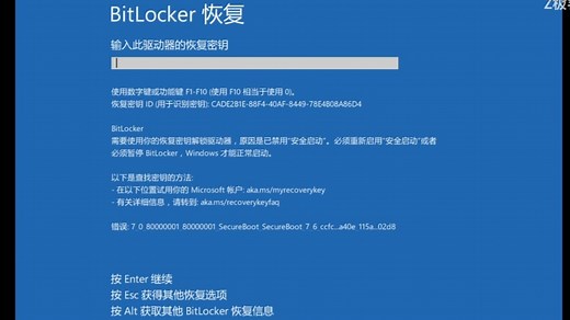 教你彻底根治BitLocker