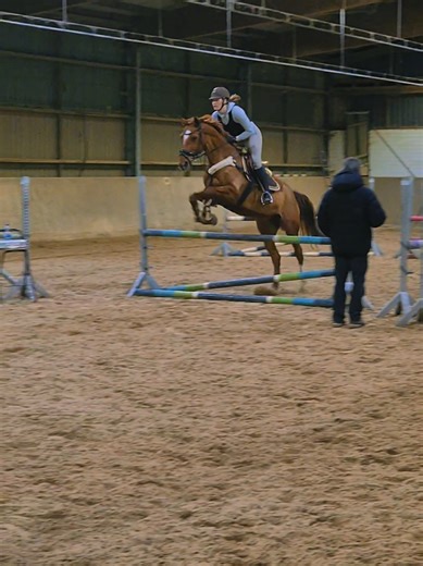 Show Jumping Horse Training Tips for Spring