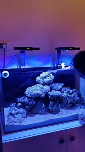 Marine aquarium setup step by step timelapse video #follower #aquarium #marine | Mrinal Das