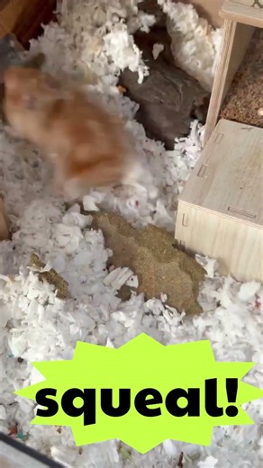 Who is it? When did the "door get smaller"? I'm hangry.