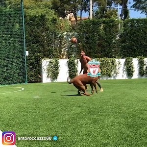 1.9M views · 6.6K reactions | Leo Messi vs. Liverpool FC tonight...  | GiveMeSport | Facebook