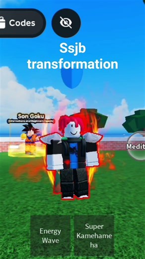 ssjb transformation