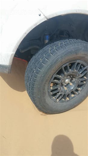 No job is too big, no gerbil is too small! Watch as a Mongolian gerbil digs like a champ, aiding a dune buggy driver from N China's Inner Mongolia in escaping a desert bind. | People's Daily, China