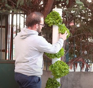 28K views · 123 reactions | Space saving technology! Tower Gardening plants growing! 塞 | 5-Minute Crafts | Facebook