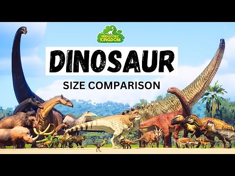 Dinosaur Size Comparison | Prehistoric Kingdom