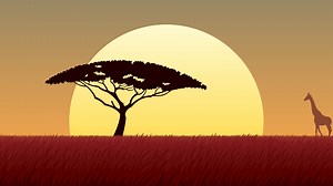 African Landscape Sunset