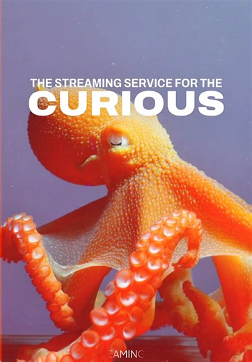 Orange against still water. Soft light. Slow movement. No rush. Somewhere between deep sea biology and surreal design — tactile, glossy, almost alien. The kind of visual that feels like late-night curiosity, aquarium glass reflections, ambient sci-fi, and quiet experimental cinema all at once. Ocean textures. Marine minimalism. Hyperreal 3D form. Clean color grading. Submerged atmosphere. Digital art meets nature documentary energy. #deepsea #underwaterworld #surrealart #naturecore #ambiance