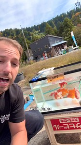 $1 vs $100,- Dollar Koi Fish! | Yvo - The Koi Partner