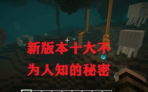 关于我的世界1.16版本你不知道的十件事（补充籽岷）