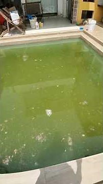 How to restore a green swimming pool after rain