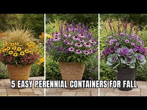 5 Stunning Perennial Container Ideas to Keep Your Garden Glowing from Late Summer into Fall
