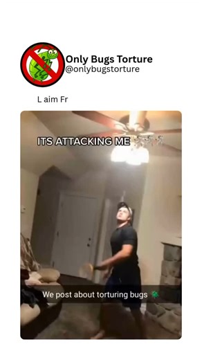 @bugsvideosonly on Instagram: "Foggers release a mist of insecticide throughout an enclosed space, targeting bugs hidden in cracks and hard-to-reach areas. They’re useful for infestations but require people and pets to vacate the area during use. Improper use can lead to overexposure to chemicals and damage to food or fabrics, so careful preparation is essential."