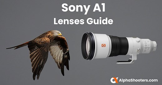 The Best Lenses for Your Sony A1 in 2026 - Alpha Shooters