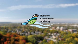 Climate change impacts are being felt around the globe, and locally...