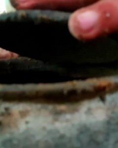 141K views · 10K reactions | Find Gems Easily 滋 | Metal Detector | Facebook