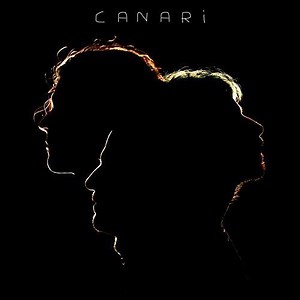 canari, un trio français découvert aux transmusicales qui nous délivre un rock errant et psychotrope - Musicali  la musique à découvrir daniel bonin