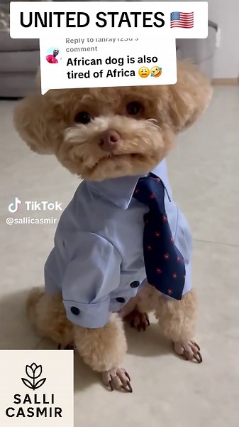 Replying to @ianray123d #fyp #foryou #viral #foryoupage #tiktok #fy #trending #funny #duet #comedy #love #meme #music #video #like #memes #cute #prank #fun #follow #aesthetic #tiktokviral #tiktokmusic #tiktokfamous #featureme #viralpost #slomo #repost #new #tiktoker #tiktoklover #followme #followforfollowback #follow4follow #viralvideos #funnyvideos #learnontiktok #edutok #studywithme #studytips #lifehacks #motivation #personaldevelopment #careerhacks #schoolhacks #fashion #style #ootd #beautyto