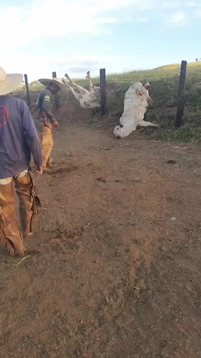 rafaelgodoi043Rafael no TikTok