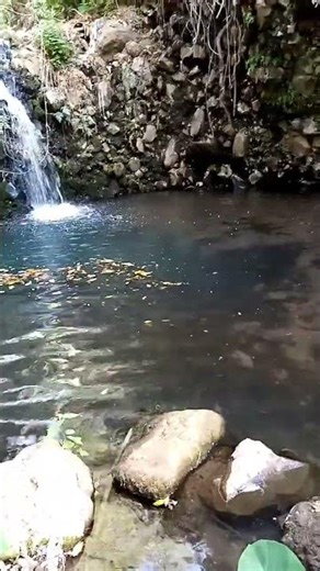 Kuinio, manantial de Carapan Mich.