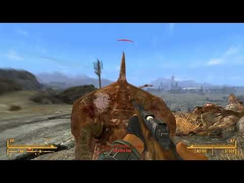 Fallout New Vegas - Solid Project + Asurah Animation (Hunting Rifle)