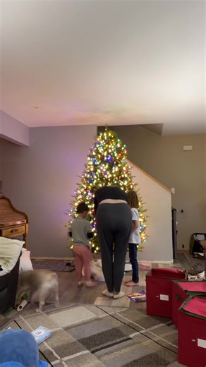 Cheers to the non aesthetic christmas trees #realisticchristmastree #normalizingnormal #normalizenormalhouses christmas tree decorating | Emily Feret