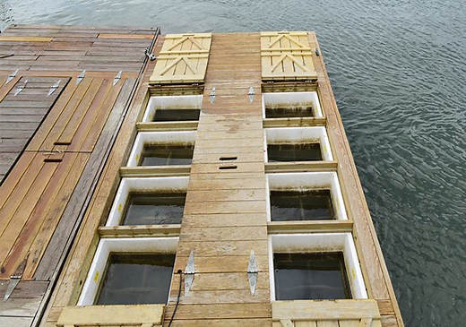 Floating Upweller System (FLUPSY) Made for Oyster Aquaculture Farming
