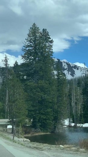 “when are you coming home?” NEVER