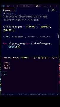 Warum nutzen alle i, n, k, v in Python? 🤯#shorts #python #coding #programming