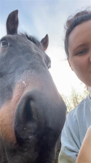 Hannah | We’re turning the shop into a lamb barn 🐑🐏 #PNW #Farm #FarmLife #Barn #BarnLife #MomLife #Momsofinstagram #smallfarm #homestead #lambs... | Instagram