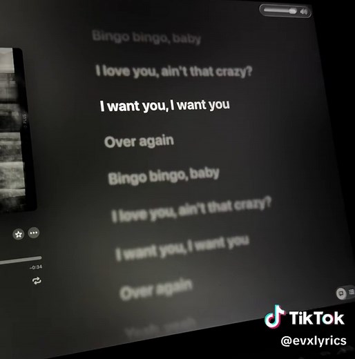 lucy~ | #lipsync #song #applemusic #lyricsvideo #lyrics | bingo bingo baby