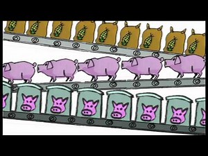 Food Rules according to Michael Pollan