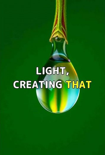 How Light Tricks Water Into Making Rainbows #science #physics #nature