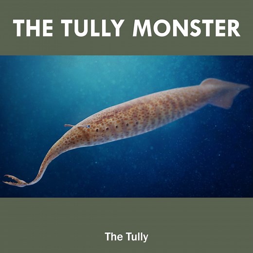 The Tully Monster... | Eons • PBS