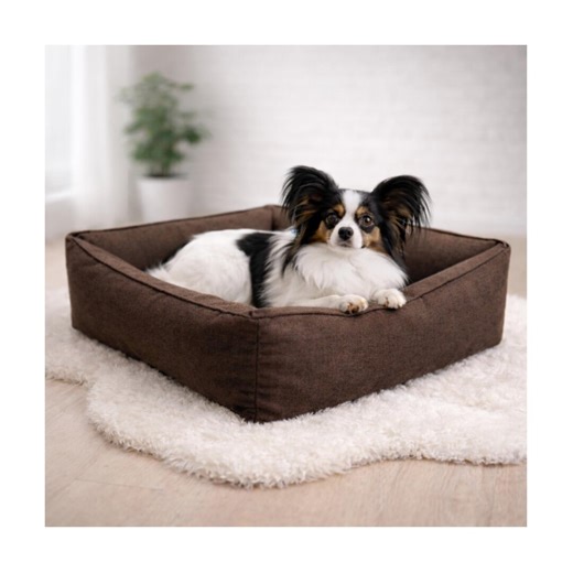 Small Dog Bed With Bolster – Cozy Calming Pet Sofa for Toy Breeds - Etsy