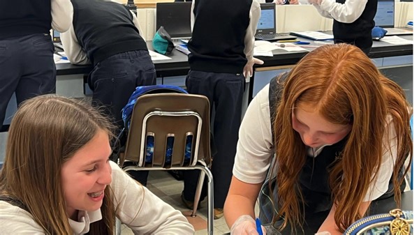 St. Vincent Martyr School has a robust science & STEM program. Yesterday, the fifth graders got to dissect owl pellets. They discovered and identified the bones of many different prey animals, such as moles, shrews, mice, and birds. The students really enjoyed this science lab with Mrs. McKenna. #svmsnj #letyourlightshineatsvmsnj | St. Vincent Martyr School | Facebook