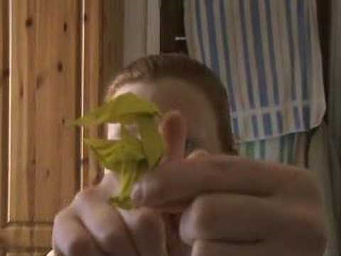 Origami book: "Works of Satoshi Kamiya: book arrived