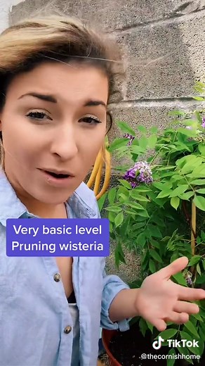 The Cornish Home on TikTok