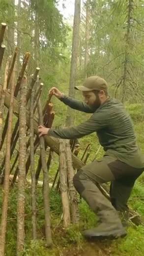 Surviving in a Dense Pine Forest Alone | 24 Hours Extreme Survival Challenge