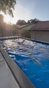 3.3K views · 13 reactions | Adding a Fastlane swim jet system turns your Modpool into an endless pool. Design your own Modpool and get a fast and free quote. Visit https://linktr.ee/modpools to get started! Media Source: https://www.instagram.com/reel/CdKNQzFgzjI/ # @matteoabadjian #modpools #modpool #containerpool #containerpools #swimmingpool #swimming #poolside #backyarddesign #landscapingdesign #pool #modern | Modpools | Facebook