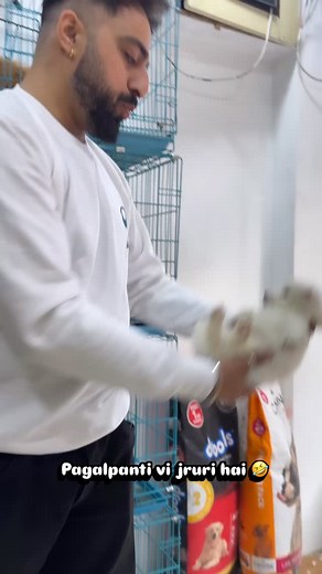 Pagalpanti vi jruri hai 🤣🤣🤣 . . . . . #puppies #dogsofinstagram #puppylove #dogofig #doglife #funnyvideos #fun #puppyshuppy #puppyshuppy35 #dog #doodle #doggo #doggy #pomerian #growoninstagram #dailygrow #reachmorepeople #instaviews #reelsindia #reelsviews #boostmyreels #fyp #exploremore #foryoupage #viralreels #boostyourreel #trendingreels | Puppyshuppy