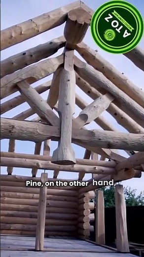 Spruce vs Pine Wood | Differences, Uses & Price | AtoZ Wood Company