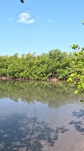 Got busted | Cavy Fishing