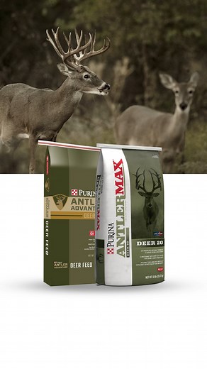 11 reactions | Fall rutting conditions require a feed that meets their needs. Maximize their nutrition and maximize their potential with our complete line of protein feeds. You have options: https://bit.ly/3BO23NA #bigbucks #therutison #antlermax | Purina Wildlife | Facebook